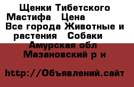 Щенки Тибетского Мастифа › Цена ­ 60 000 - Все города Животные и растения » Собаки   . Амурская обл.,Мазановский р-н